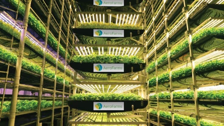 AeroFarms recognized by Fast Company for third consecutive year