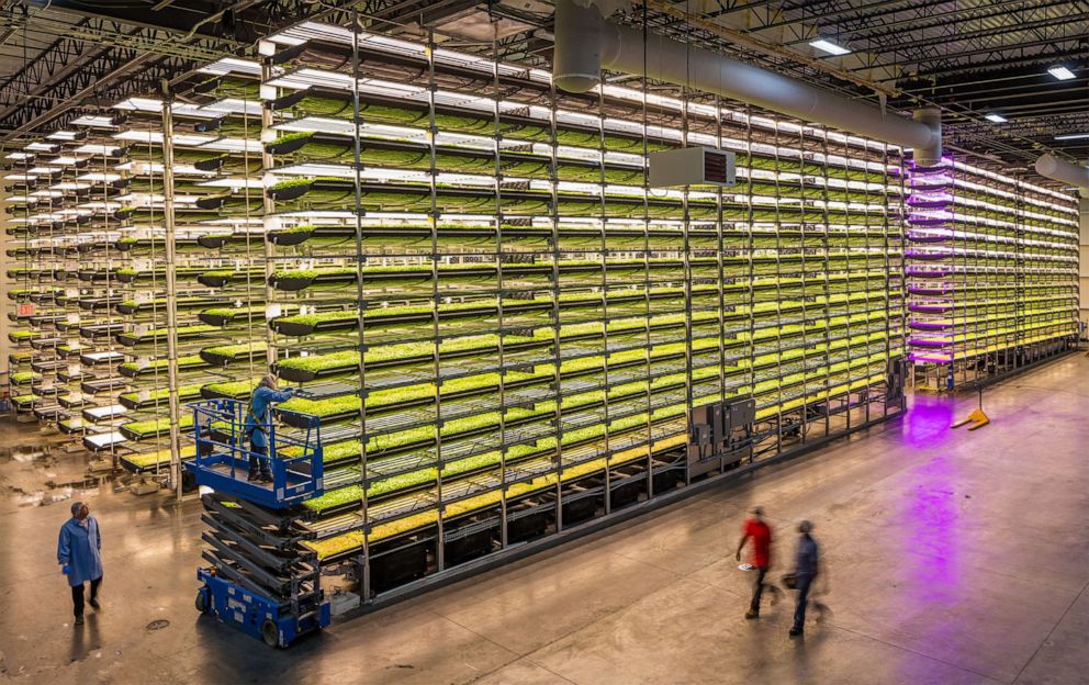 Vertical farming company AeroFarms is making vegetables tastier and feeding communities in need